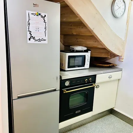 Le Loft Du Palace דירה