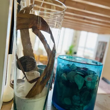 Le Loft Du Palace Daire *